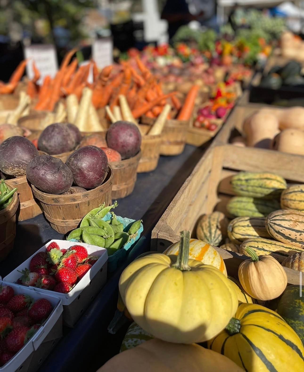 Baskets of carrots, parsnips, root vegetables, strawberries and small pumpkins at a farm stand
